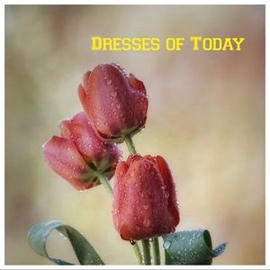 Dresses of Today